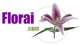 Florai.com