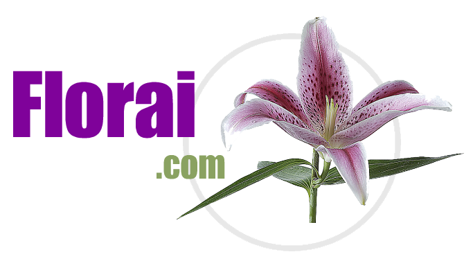 Florai.com
